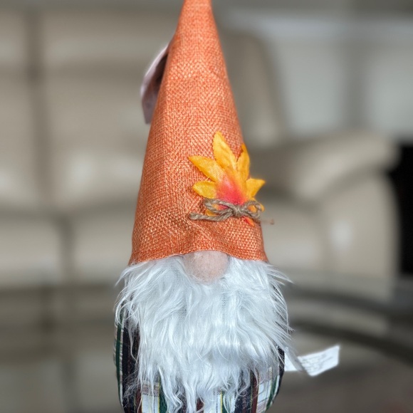 Anthropologie Other - Thanksgiving Day Orange Gnome  🦃🥳💫